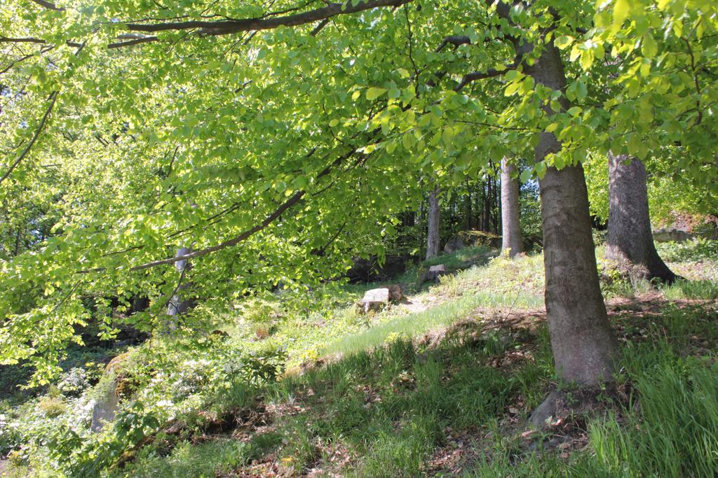 Asika Villa Josefův Důl Buitenkant foto