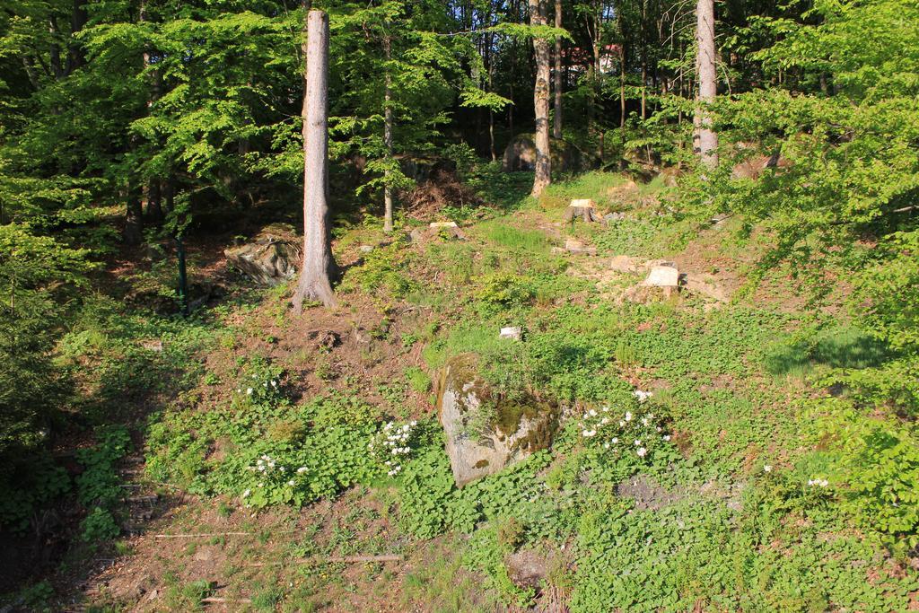 Asika Villa Josefův Důl Buitenkant foto